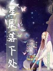 星辰落下之时原著